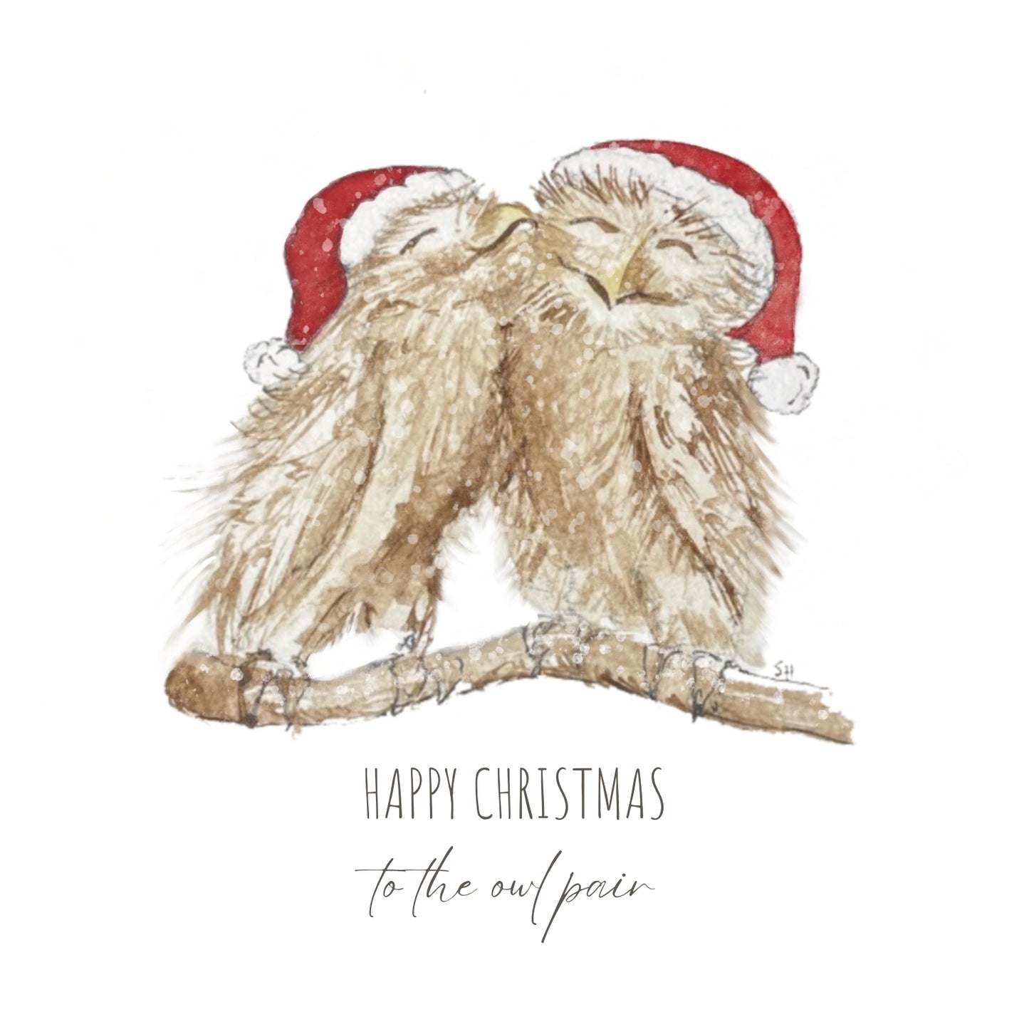 Happy Christmas to the Owl Pair